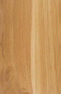 Hickory Clear Natural